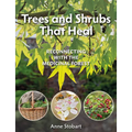 Trees and Shrubs That Heal: Reconnecting with the Medicinal Forest - Paperback