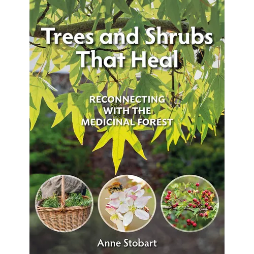 Trees and Shrubs That Heal: Reconnecting with the Medicinal Forest - Paperback