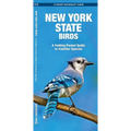 New York State Birds: A Folding Pocket Guide to Familiar Species