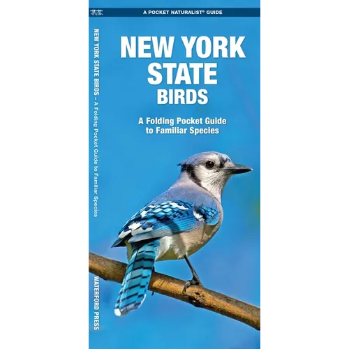 New York State Birds: A Folding Pocket Guide to Familiar Species
