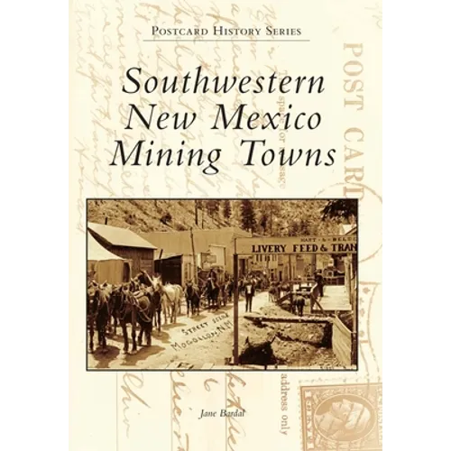 Southwestern New Mexico Mining Towns - Paperback