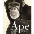 Ape - Paperback