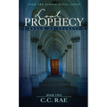 Lost Prophecy: Realm of Secrets - Paperback