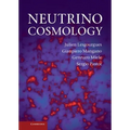 Neutrino Cosmology - Hardcover