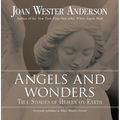 Angels and Wonders: True Stories of Heaven on Earth - Paperback