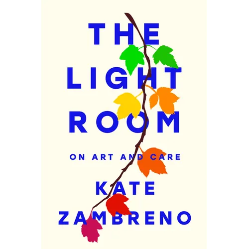 The Light Room - Hardcover