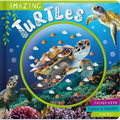 Amazing Turtles - Board Book