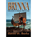 Brynna: Saga of a Viking Princess - Paperback