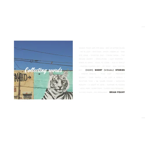 Collecting Words: Short Visual Stories - Paperback