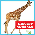 Biggest Animals - Paperback