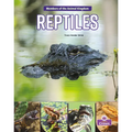 Reptiles - Paperback