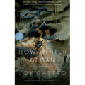 How Winter Began: Stories - Paperback