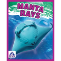 Manta Rays - Paperback
