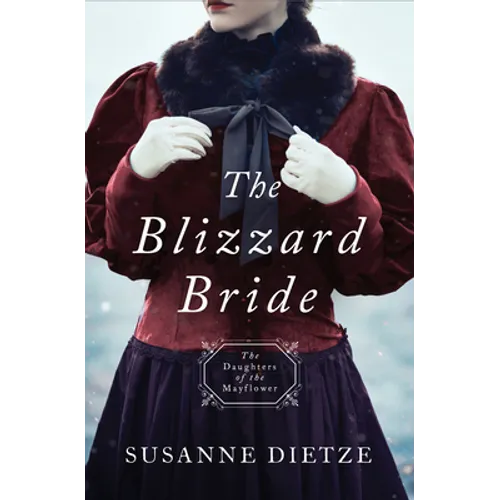 The Blizzard Bride: Daughters of the Mayflower #11 - Paperback
