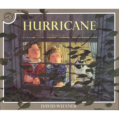 Hurricane - Paperback