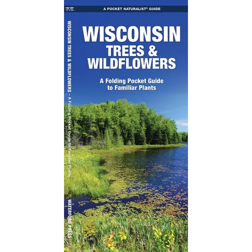 Wisconsin Trees & Wildflowers: A Folding Pocket Guide to Familiar Plants - Paperback