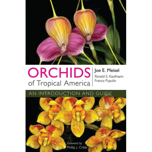 Orchids of Tropical America: An Introduction and Guide - Paperback