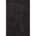 Black Square: Malevich and the Origin of Suprematism - Hardcover