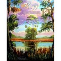 Mazz: Florida Dreamscapes - Paperback