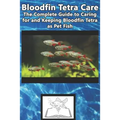 Bloodfin Tetra Care: The Complete Guide to Caring for and Keeping Bloodfin Tetra as Pet Fish - Paperback