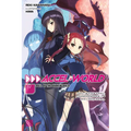 Accel World, Vol. 19 (Light Novel): Pull of the Dark Nebula - Paperback
