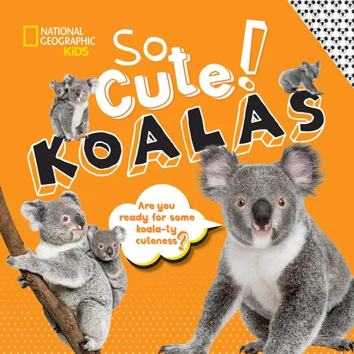 So Cute!: Koalas - Hardcover