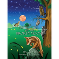 The Little Girl and the Broken Moon - Hardcover