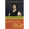 Journey to the Well: 12 Lessons on Personal Transformation - Paperback