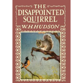 The Disappointed Squirrel - Illustrated by Marguerite Kirmse - Paperback