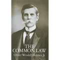 The Common Law - Paperback