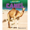 Camel - Library Binding