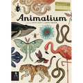 Animalium: Welcome to the Museum - Hardcover