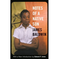 Notes of a Native Son - Hardcover
