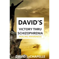 David's Victory Thru Schizophrenia: Healing Awareness - Paperback
