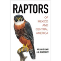 Raptors of Mexico and Central America - Hardcover