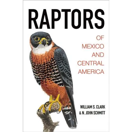 Raptors of Mexico and Central America - Hardcover