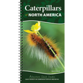 Caterpillars of North America: Easily Identify 90 Common Butterflies and Moths - Spiral