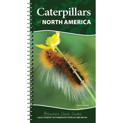 Caterpillars of North America: Easily Identify 90 Common Butterflies and Moths - Spiral