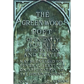The Greenwood Poet - Hardcover