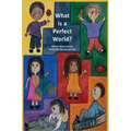 What is a Perfect World? - Hardcover