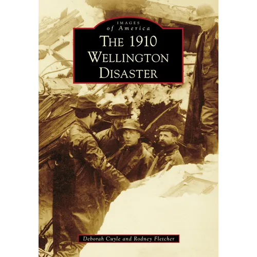 The 1910 Wellington Disaster - Paperback