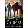 After the Storm - Paperback