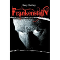 Frankenstein or the Modern Prometheus - Paperback