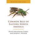 Common Bees of Eastern North America - Paperback