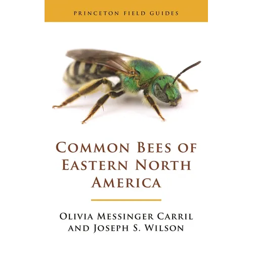 Common Bees of Eastern North America - Paperback
