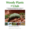 Woody Plants of Utah: A Field Guide with Identification Keys to Native and Naturalized Trees, Shrubs, Cacti, and Vines - Paperback