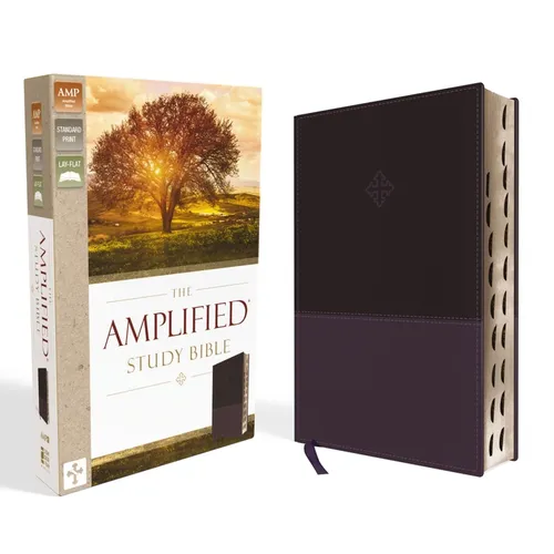 Amplified Study Bible, Imitation Leather, Purple, Indexed - Imitation Leather
