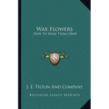 Wax Flowers: How To Make Them (1864) - Paperback