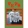 Pets: A must have book for children. - Paperback