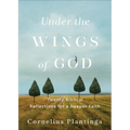 Under the Wings of God: Twenty Biblical Reflections for a Deeper Faith - Paperback